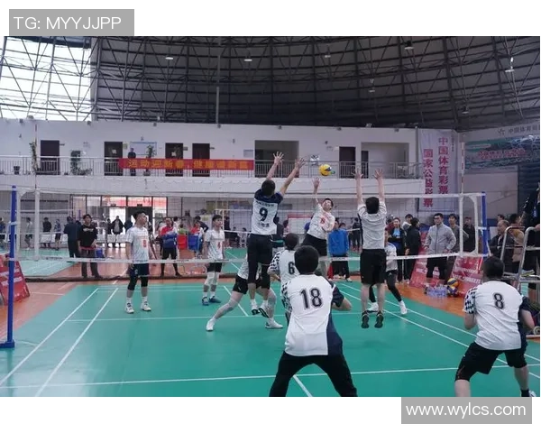 武汉排球队在杯赛中的技术表现分析与未来发展展望