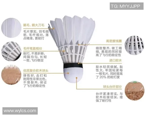 重庆羽毛球队攻势变革揭秘：新战术如何引领羽坛风潮