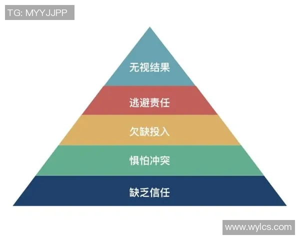 武汉排球队团队协作的成功秘诀与发展策略探讨